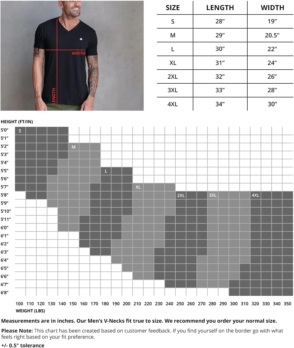INTO THE AM Premium V Neck T Shirts for Men - Modern Fitted Tees S - 2XL Vneck Undershirts
